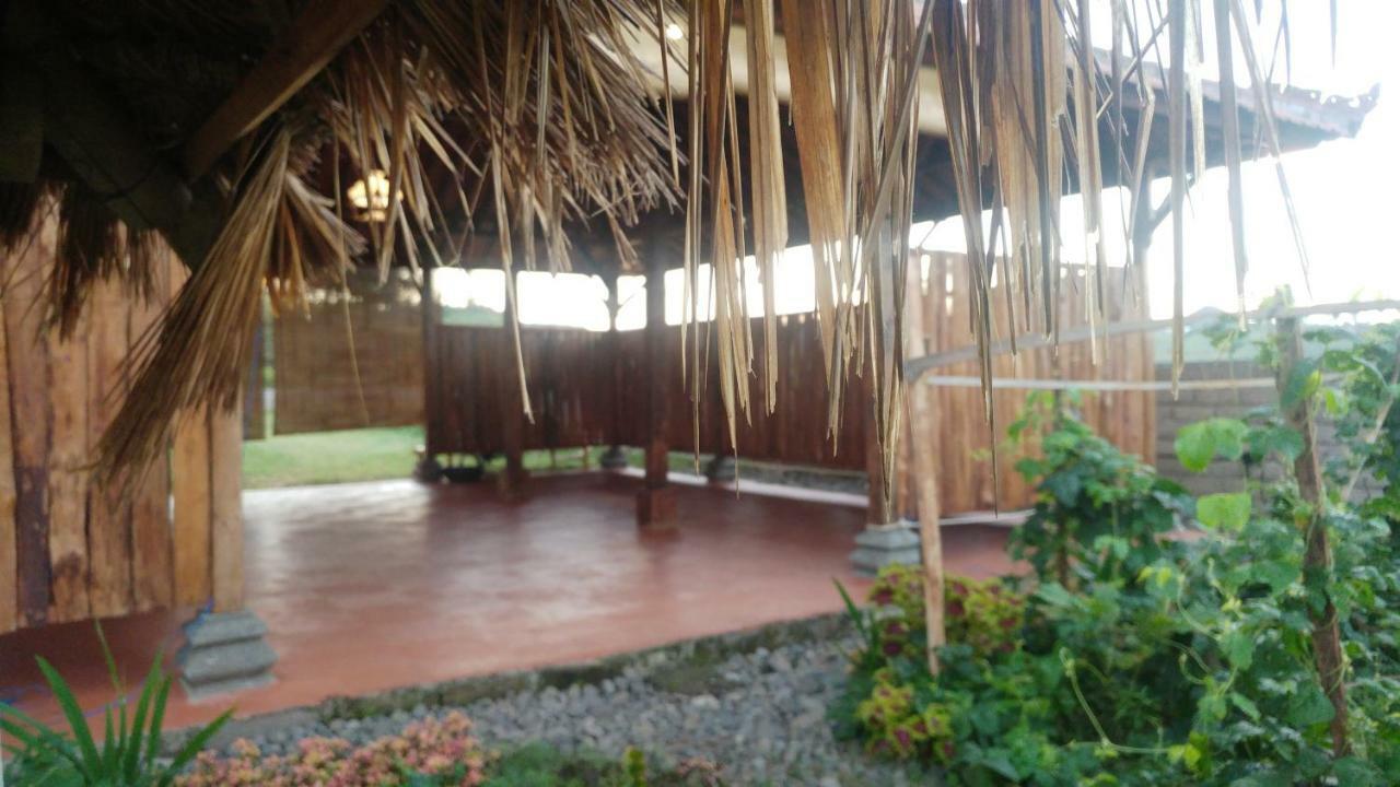 Bali Tiger Hideaway Hotell Pulukan Exteriör bild