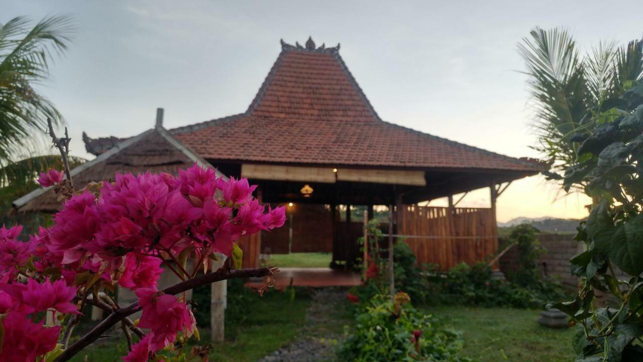 Bali Tiger Hideaway Hotell Pulukan Exteriör bild