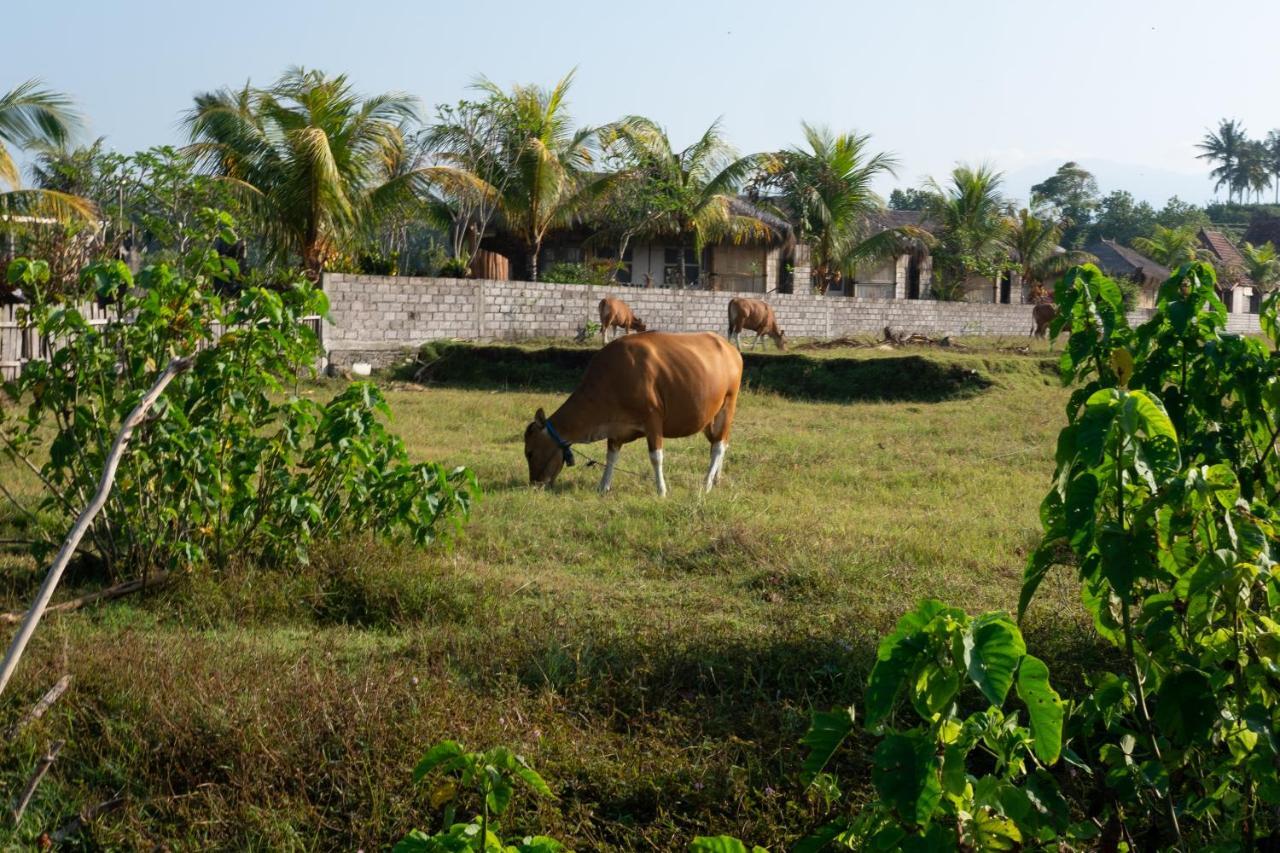 Bali Tiger Hideaway Hotell Pulukan Exteriör bild